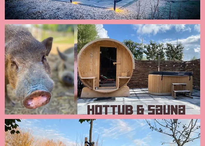 Villa: Bed & Wellness Klein Knorrestein With Private Hottub And Sauna And Tandembike Rental Included In Price